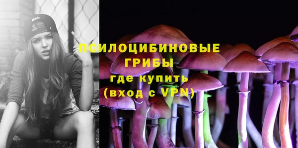 mdpv Медногорск