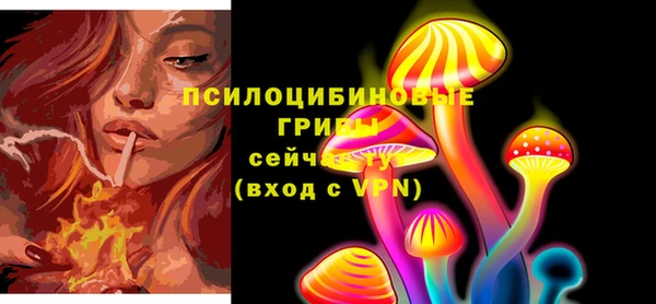 a pvp Арсеньев
