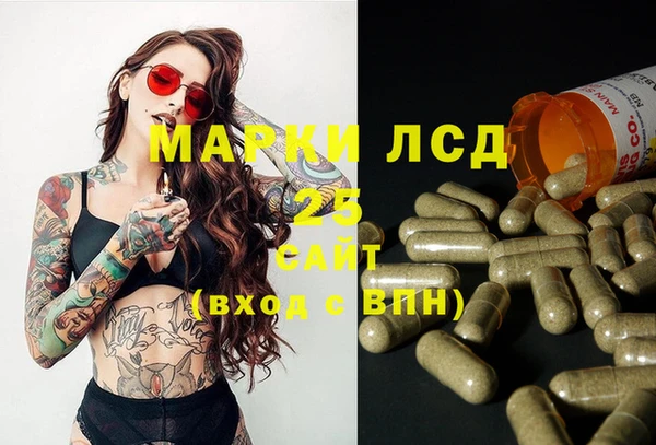 шишки Алексин