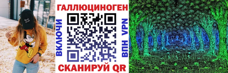 Галлюциногенные грибы Psilocybe  Судак 