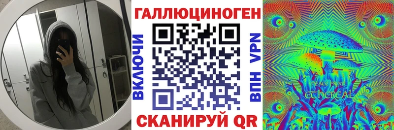 Псилоцибиновые грибы Psilocybe Судак